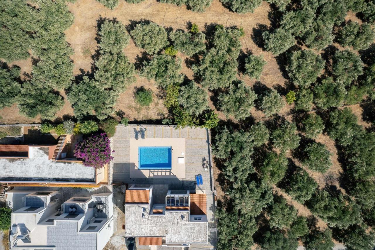 Greek Sky - New Modern Apartment With Shared Pool Tavronitis Exteriör bild